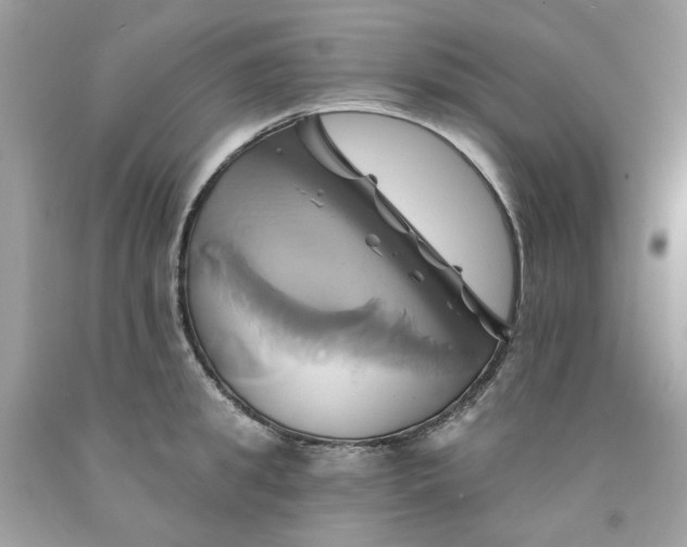 X0000091590949200709051119