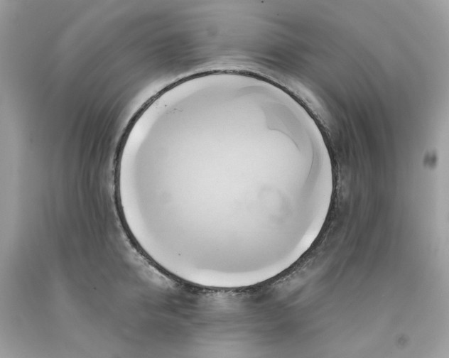 X0000091590950200709051119