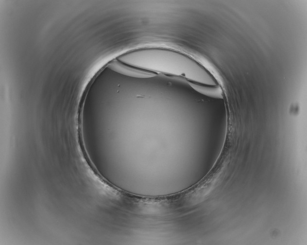 X0000091590951200709051119