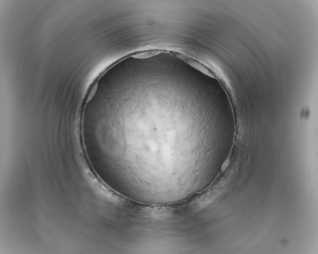 X0000091590952200709051119