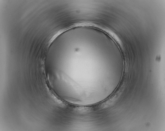 X0000091590953200709051119