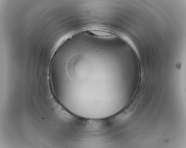 X0000091590954200709051119