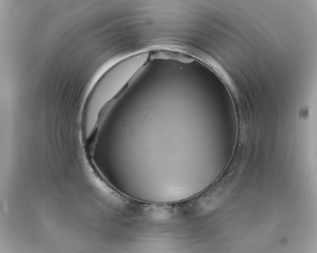 X0000091590955200709051119