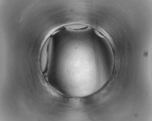 X0000091590956200709051119