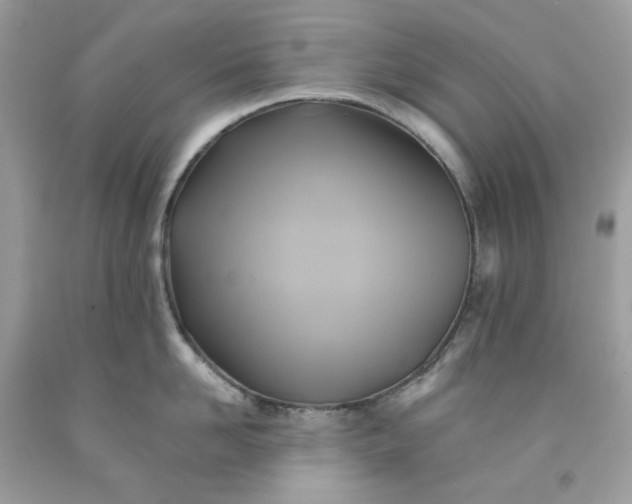 X0000091590958200709051119