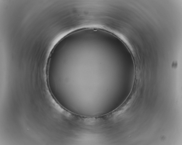 X0000091590959200709051119