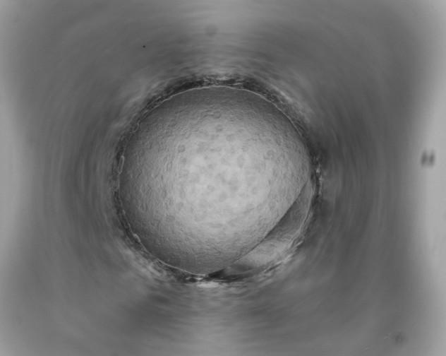 X0000091590961200709051118