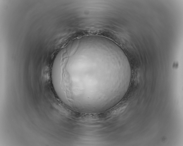 X0000091590962200709051118