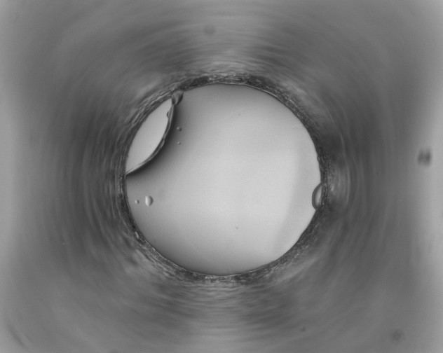 X0000091590964200709051118