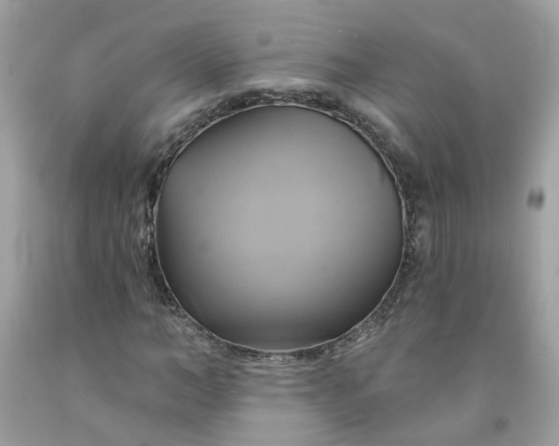 X0000091590966200709051118