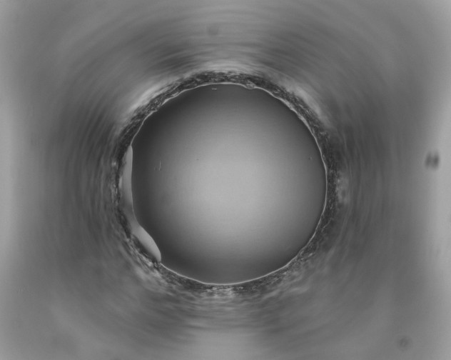 X0000091590968200709051118