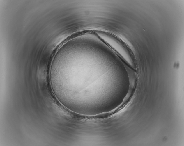 X0000091590969200709051118