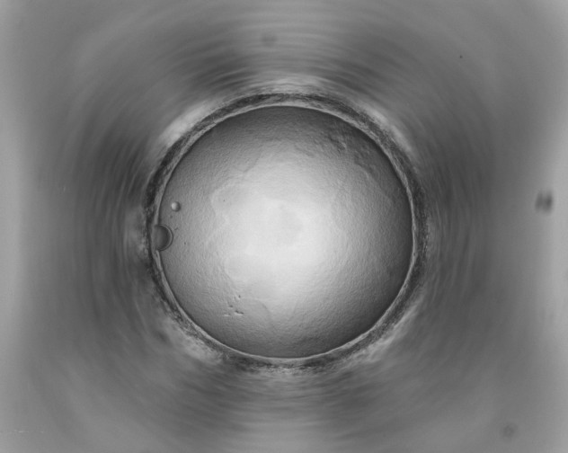 X0000091590970200709051118