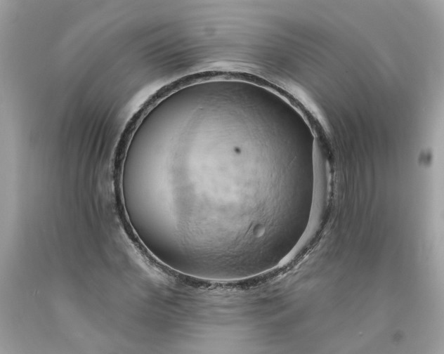 X0000091590972200709051118