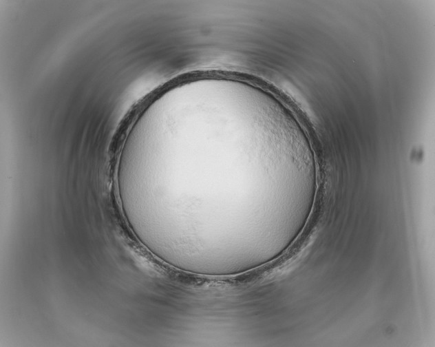 X0000091590974200709051118