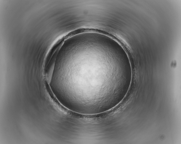X0000091590976200709051118