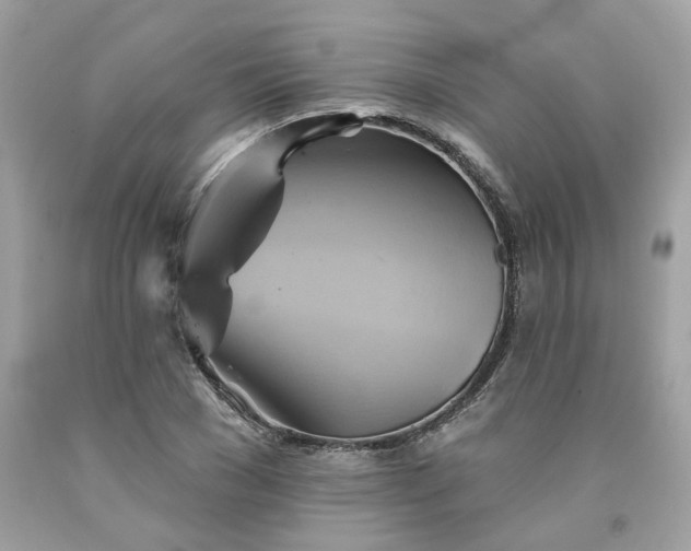 X0000091590977200709051118