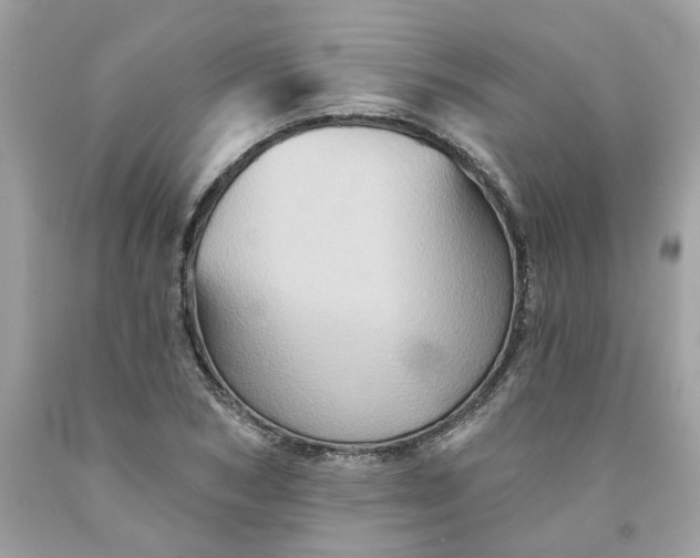 X0000091590978200709051118
