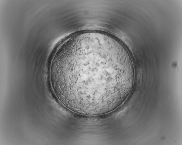 X0000091590979200709051118