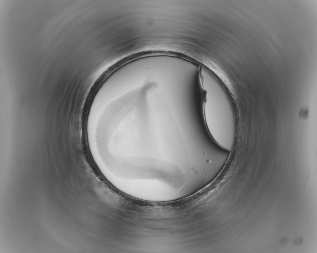 X0000091590980200709051118