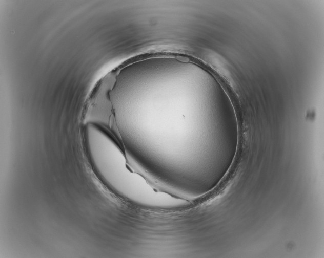 X0000091590981200709051118
