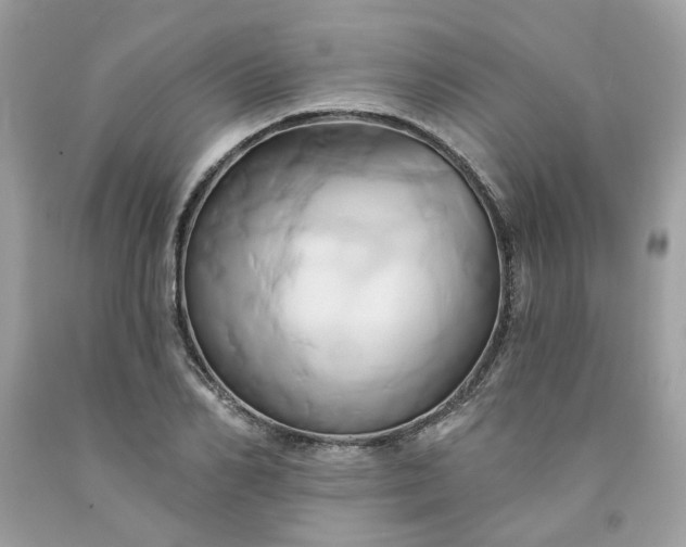 X0000091590982200709051118