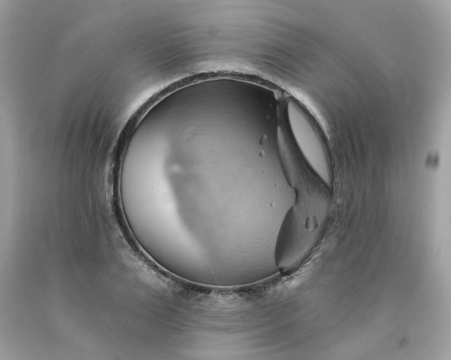 X0000091590983200709051118