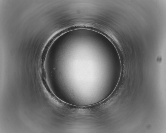 X0000091590984200709051118