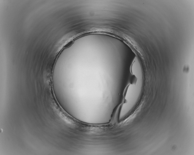 X0000091590985200709051118