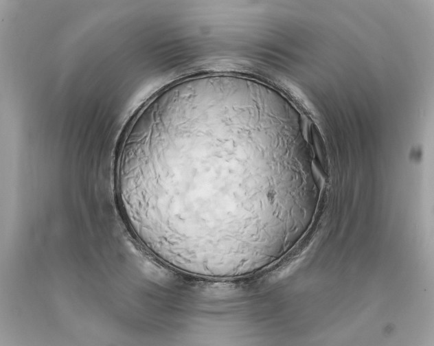 X0000091590986200709051118