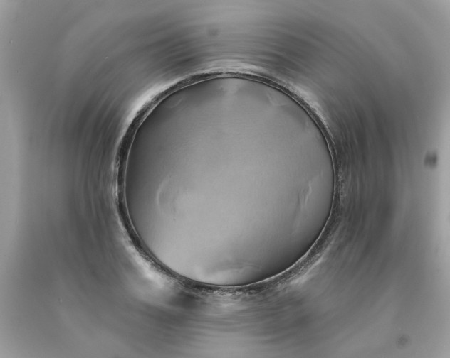 X0000091590987200709051118