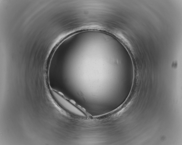 X0000091590989200709051118