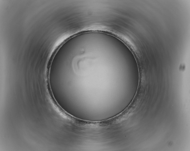 X0000091590990200709051118