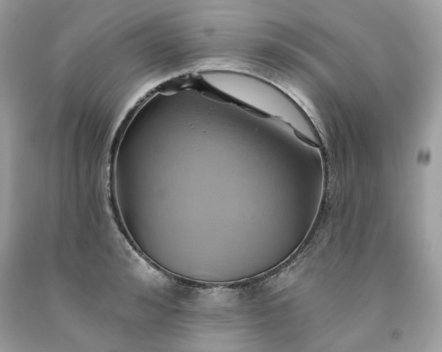 X0000091590992200709051118