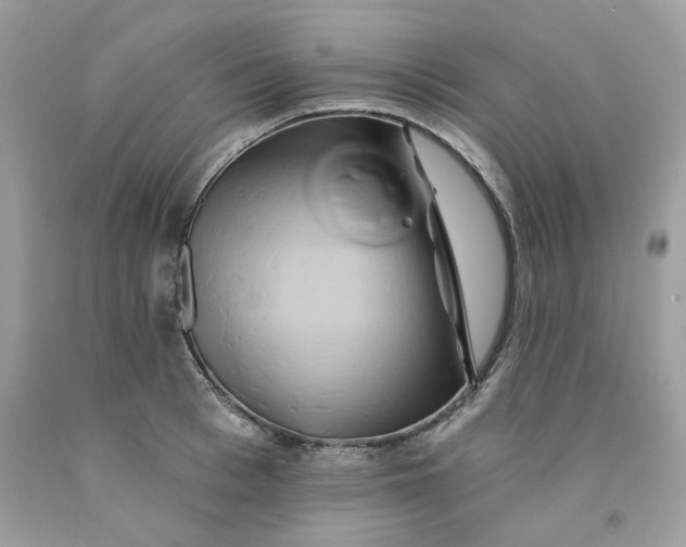 X0000091590993200709051118