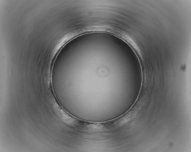 X0000091590994200709051118