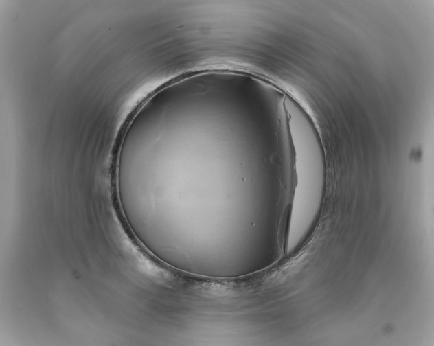 X0000091590995200709051118