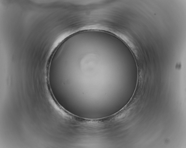 X0000091590998200709051118