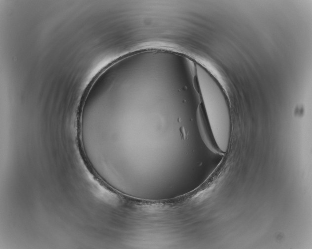 X0000091590999200709051118