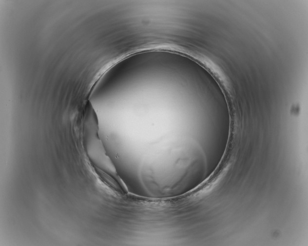 X0000091591001200709051118