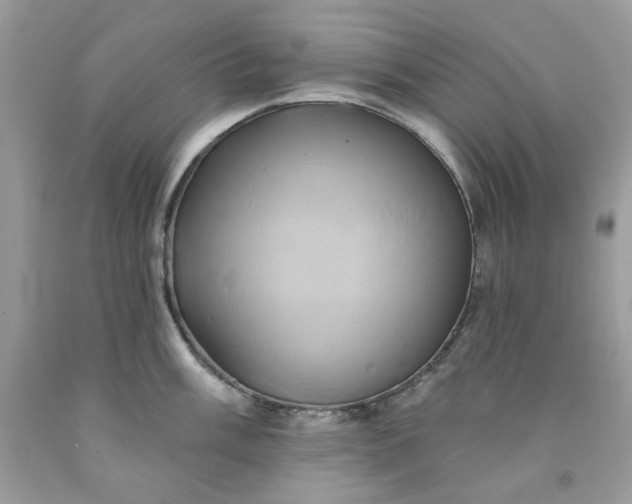 X0000091591003200709051118