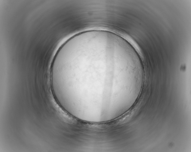 X0000091591004200709051118