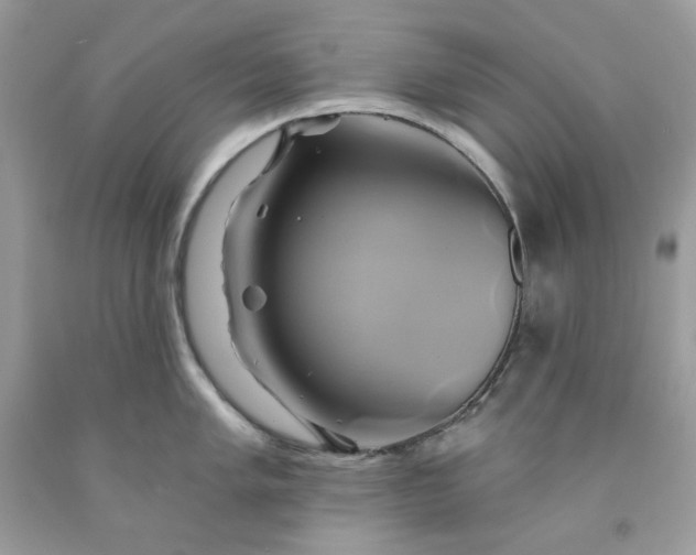 X0000091591005200709051118