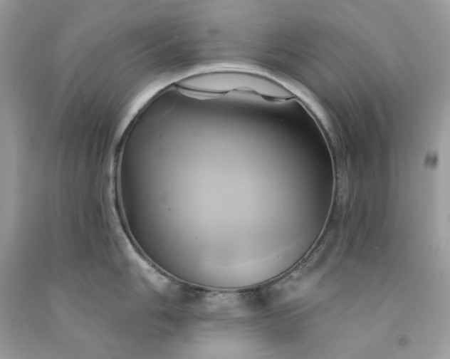 X0000091591006200709051118