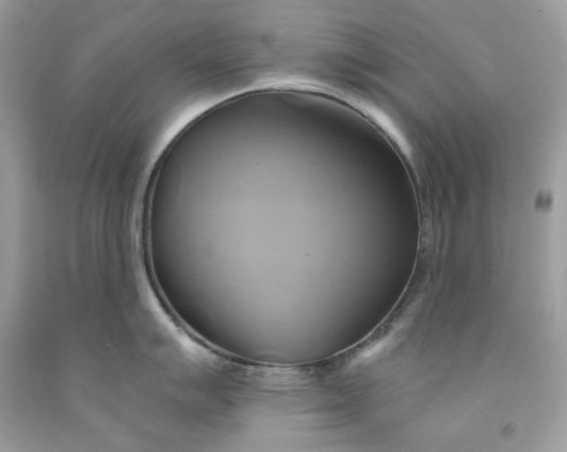 X0000091591007200709051118