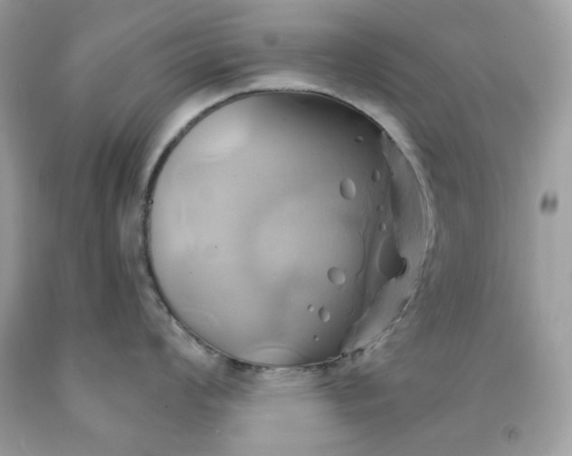 X0000091591008200709051118