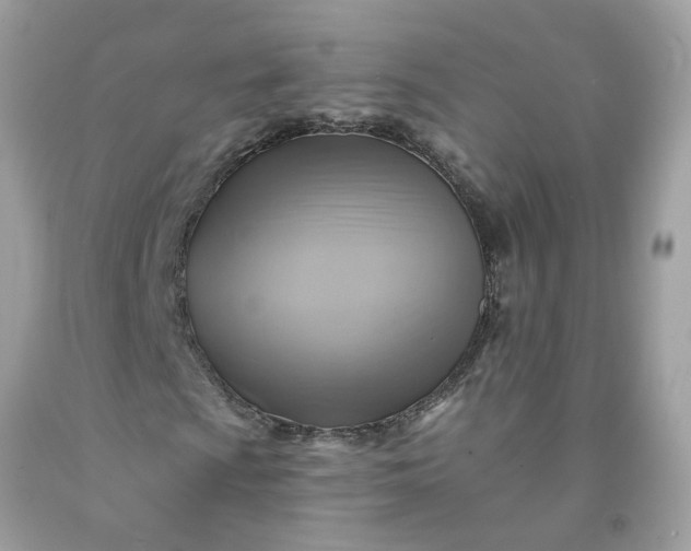 X0000091591009200709051117