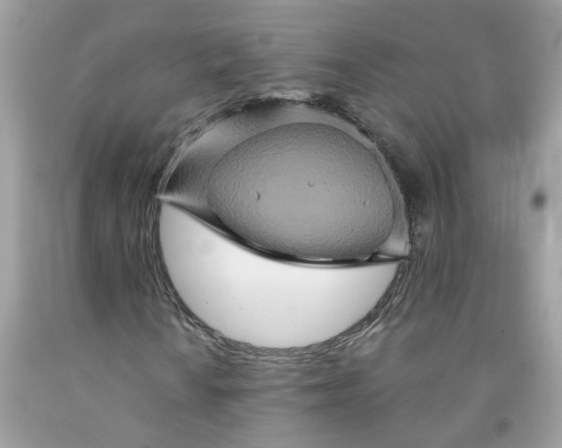 X0000091591010200709051117