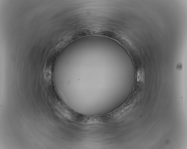 X0000091591011200709051117