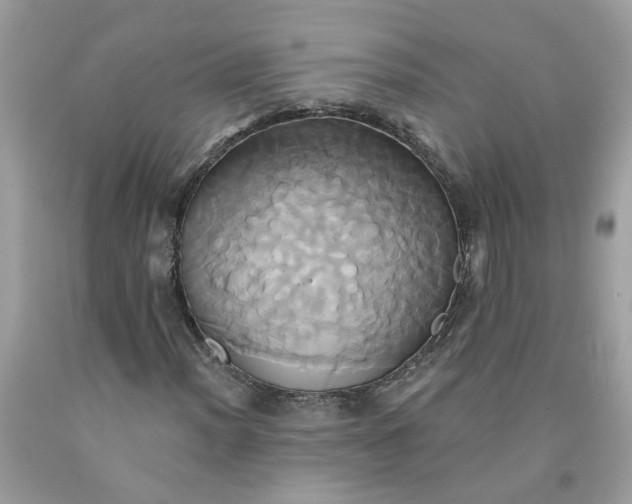 X0000091591012200709051117